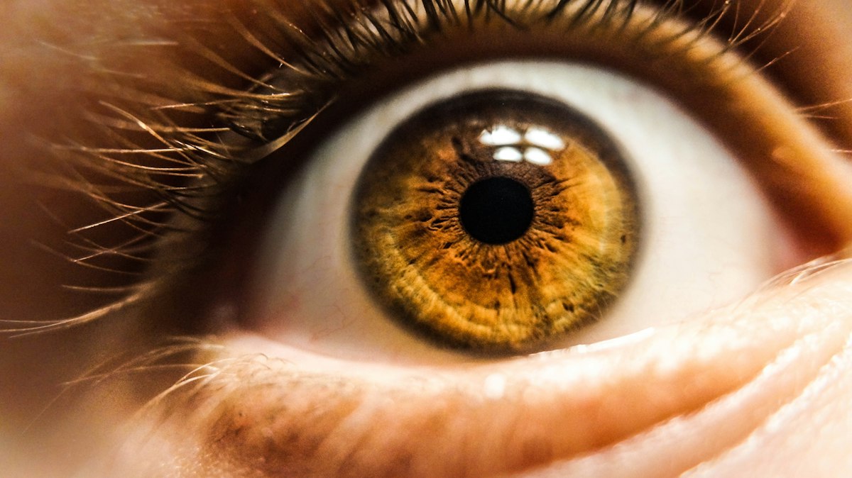 Complejo Antioxidante Ocular Total